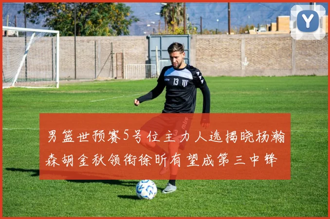 男篮世预赛5号位主力人选揭晓杨瀚森胡金秋领衔徐昕有望成第三中锋